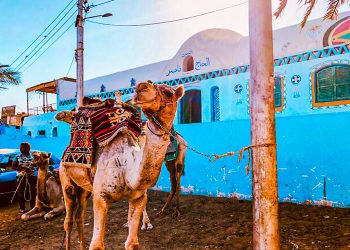 aswan egypt tourist attractions, aswan attractions, aswan egypt attractions, tourist attractions in aswan egypt, tourist attractions in aswan