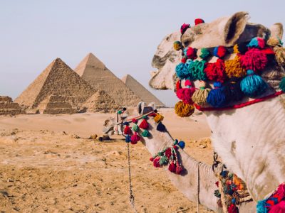 Day Tour to Pyramids of Giza From Port Said